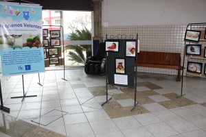 IMG_3108